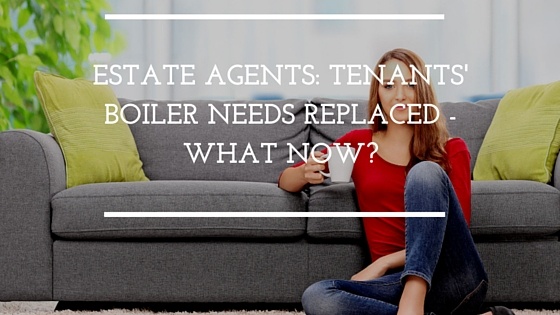 Estate_Agents-_Tenants_Boiler_Needs_Replaced_-_What_Now-.jpg